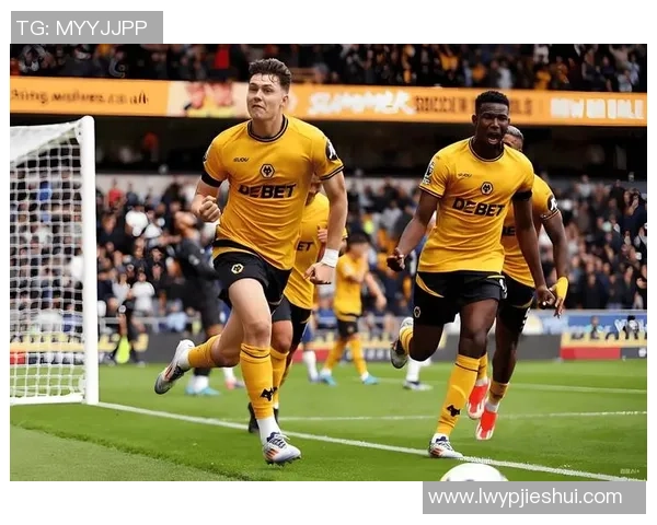 亚冠闹剧？柔佛疑违规运用禁赛球员！海港应上诉：按规矩可判3-0